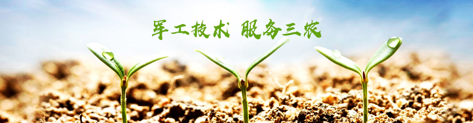 333体育官网登陆